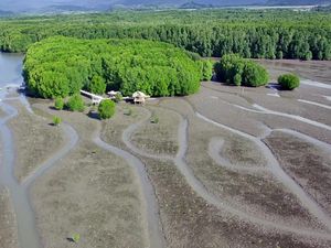 Aksi Nyata Selamatkan Lingkungan