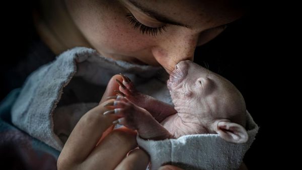 Karya Jawara Kontes Foto Alam yang Bikin Terkesima
