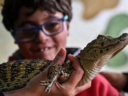 Peringatan Tanggal 21 Oktober: Hari Reptil hingga Apel Sedunia