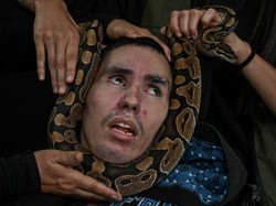 Merinding, Klinik Ini Pakai Ular hingga Buaya untuk Terapi Autisme