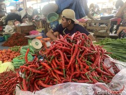 Harga Cabai Merah di Sumut Turun Lagi, Medan Patok Rp 44 Ribu per Kg