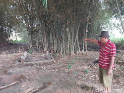 Desa di Gresik Hilang Usai Diteror Macan, Kini Cuma Sisakan Makam