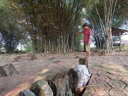 6 Fakta Ngeri Desa yang Hilang di Gresik gegara Pengantin Baru Diterkam Macan