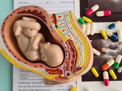 Permintaan IDI untuk Dilibatkan di Pembahasan Aturan Soal Aborsi