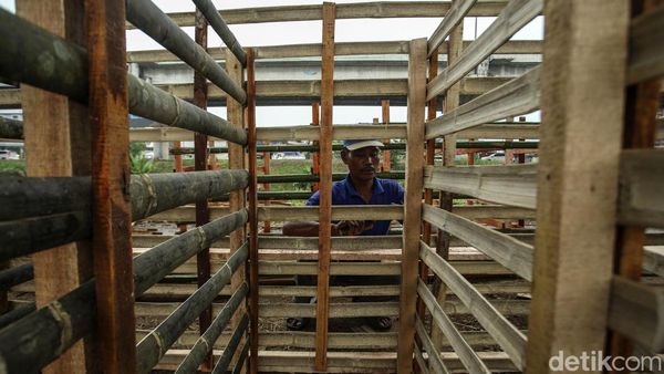 Melihat Pembuatan Kandang Hewan Kurban Jelang Idul Adha