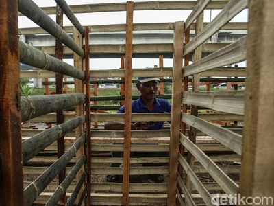 Melihat Pembuatan Kandang Hewan Kurban Jelang Idul Adha