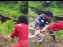 6 Fakta 3 Pria Tega Lempar Anjing ke Sungai untuk Santapan Buaya