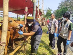 31 Titik Pasar Hewan Kurban di Sidoarjo Diperiksa Kesehatan Jelang Idul Adha 31 Titik Pasar Hewan Kurban di Sidoarjo Diperiksa Kesehatan Jelang Idul Adha