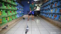 Pos Meti, Lapak Burung Merpati Tomprang Terbesar di Jakarta
