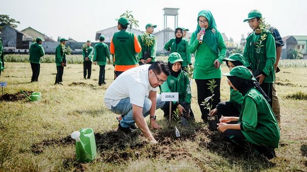 Tanam Pohon di Lingkungan Sekolah untuk Penghijauan