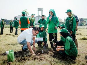 Tanam Pohon di Lingkungan Sekolah untuk Penghijauan Tanam Pohon di Lingkungan Sekolah untuk Penghijauan