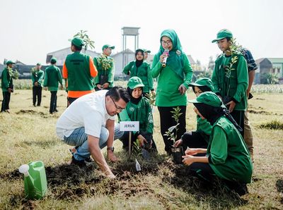 Tanam Pohon di Lingkungan Sekolah untuk Penghijauan