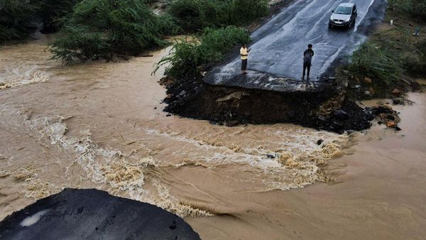 Topan Biparjoy Terjang India, Pohon Tumbang-Jembatan Rusak