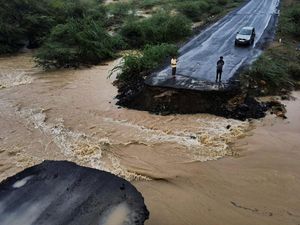 Topan Biparjoy Terjang India, Pohon Tumbang-Jembatan Rusak