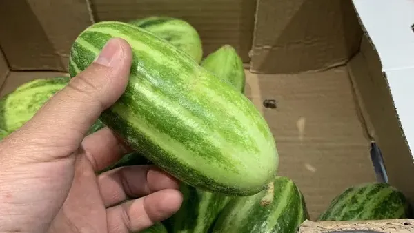 Sial, Deretan Foto Ini Benar-benar Mengecoh Mata