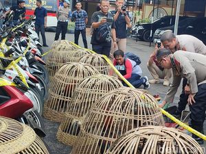 Polisi Gerebek Judi Sabung Ayam di Ciamis, 29 Orang Diamankan