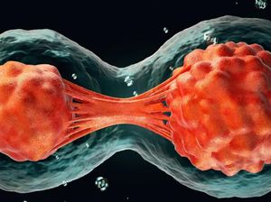 Ilmuwan Sudah Bisa Ciptakan Embrio Manusia Buatan
