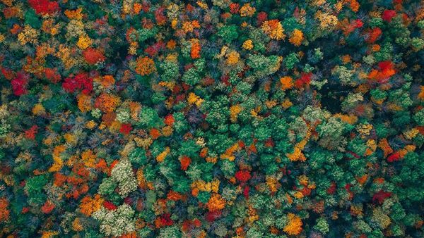 Foto Drone Keren Berbagai Penampakan dari Atas
