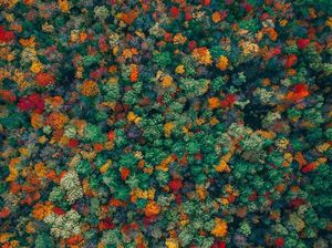 Foto Drone Keren Berbagai Penampakan dari Atas Foto Drone Keren Berbagai Penampakan dari Atas