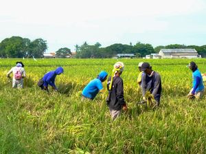 Hari Krida Pertanian 21 Juni: Pengertian dan Sejarah