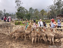 50 Lebih Destinasi Wisata yang Cocok untuk Liburan Akhir Tahun