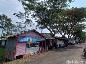 Sepoi-sepoi! Menikmati Mie Ayam Kamsir di Bawah Pohon Albasia