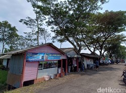 Sepoi-sepoi! Menikmati Mie Ayam Kamsir di Bawah Pohon Albasia