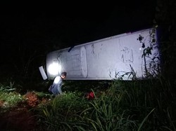 Bus Hindari Adu Banteng Berujung Masuk Jurang