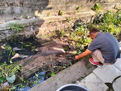 Pria Tanpa Identitas Tewas di Saluran Irigasi, Polisi Temukan Miras