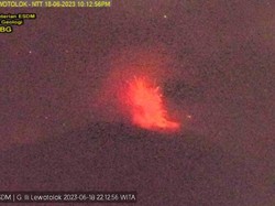Gunung Ili Lewotolok Erupsi, Tinggi Kolom Abu 800 Meter