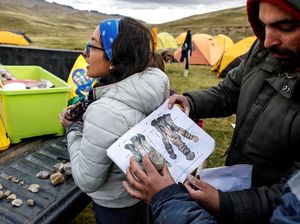 Ahli Ungkap Penyebab Fosil Dinosaurus Bertahan Ratusan Juta Tahun