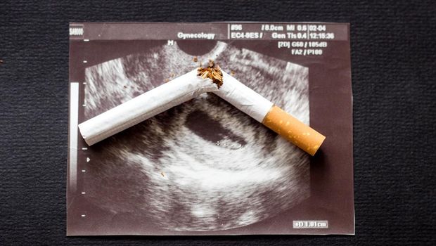 Ilustrasi Rokok dan Janin