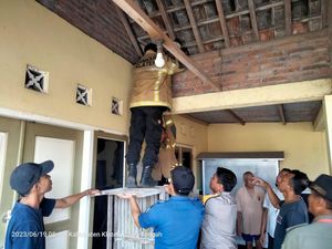 Monyet Berkeliaran di Rumah Warga Taji Klaten, Petugas Turun Tangan