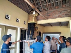 Monyet Berkeliaran di Rumah Warga Taji Klaten, Petugas Turun Tangan