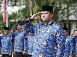 Pemkab Banyuasin Buka 2.732 Formasi Guru-Nakes untuk PPPK 2023
