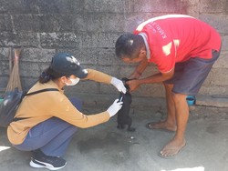 Dinkes Buleleng Catat 3.043 Gigitan Rabies hingga Juni 2023