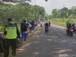 Bendungan Sengguruh Malang Di-flushing, Siap-siap Berburu Ikan Mabuk