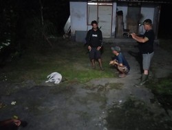 Anjing Milik Warga di Jembrana Mengamuk, Bunuh Kucing-Ayam