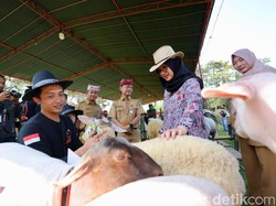 Sapi Simental Berbobot 1,1 Ton Juarai Banyuwangi Livestock Contest 2023