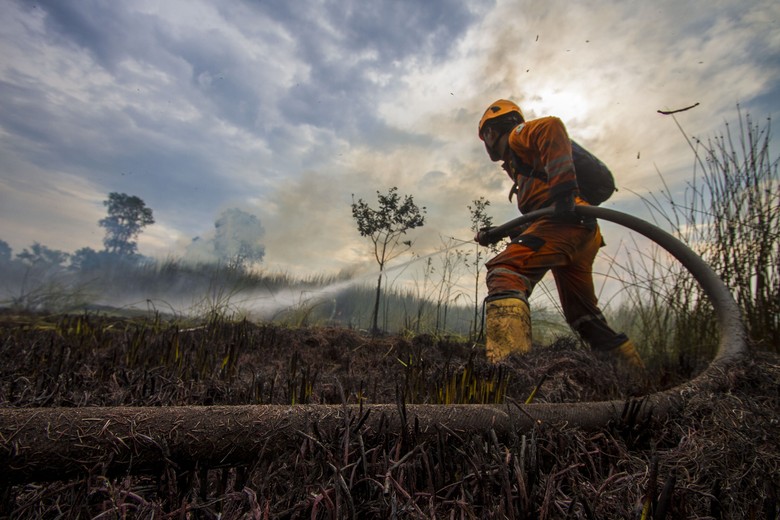 Video: BNPB Catat Ada 8.900 Ha Lahan Terbakar di Kalsel