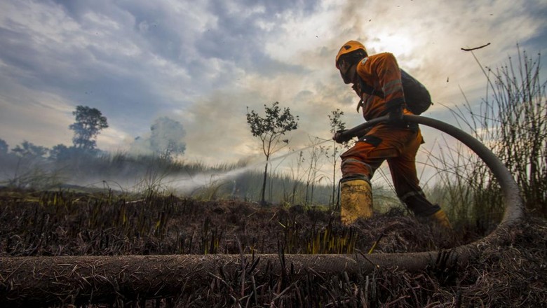 Hari Ke-10 Pemadaman Kebakaran Lahan Gambut di Riau