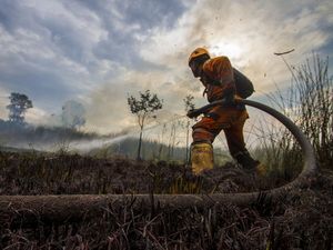 Berjibaku Padamkan Kebakaran Hutan dan Lahan di Kalimantan Selatan