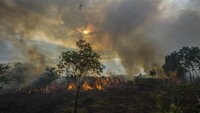 Kalsel Siaga Karhutla, Warga Banjarmasin Diimbau Kurangi Aktivitas Luar