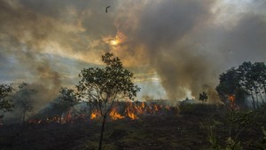Kalsel Siaga Karhutla, Warga Banjarmasin Diimbau Kurangi Aktivitas Luar