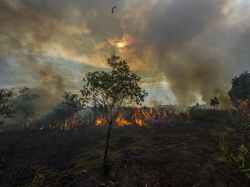 Kata BMKG soal Cuaca Panas di Kalsel dan Potensi Karhutla