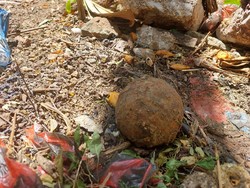 Warga Banda Aceh Temukan Bom Aktif saat Bersihkan Kebun