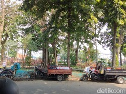 Monyet yang Serang 2 Anak di Jagir Surabaya Sempat Ditangkap Tapi Terlepas