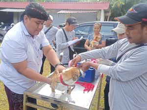 539 Kasus Gigitan Anjing di Karangasem, 56 Positif Rabies