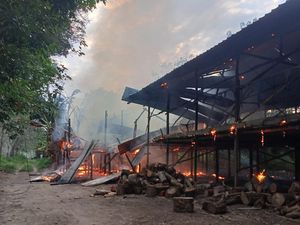 Biang Kerok Kebakaran Kandang Ayam Tewaskan Pasutri dan 2 Anaknya