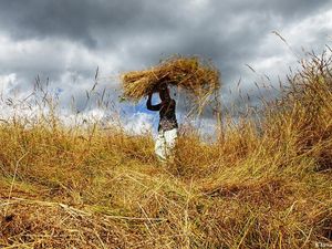 Kembalinya El Nino Berpotensi Perparah Inflasi